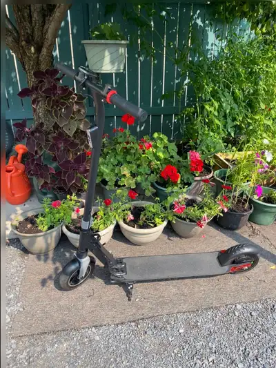 Electric Scooter, View more