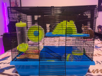 Cage pour hamster nain 