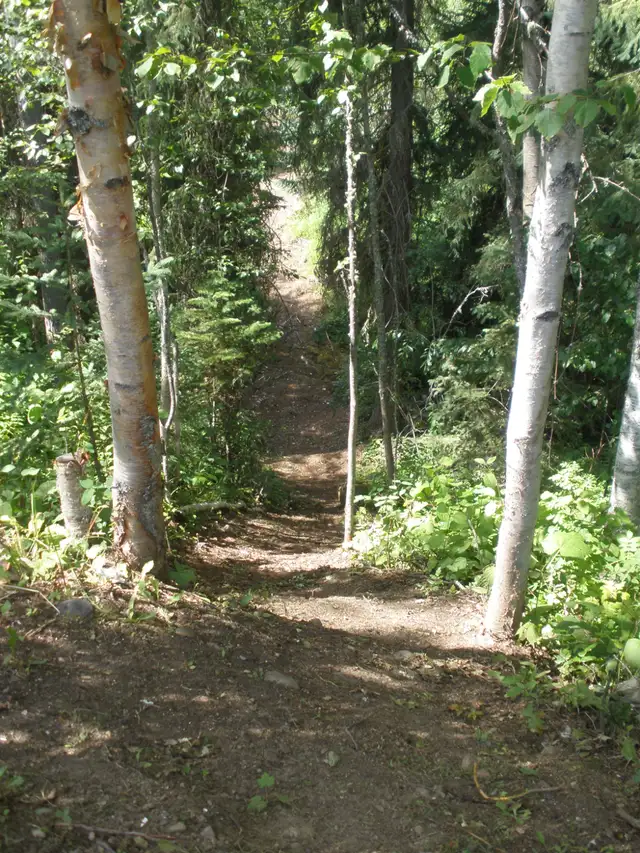 10 Acre Wilderness homestead in Land for Sale in Kamloops - Image 11