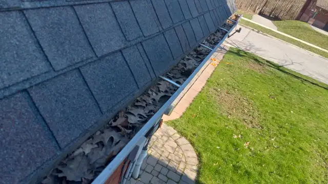 Window cleaning and eavestrough cleaning!