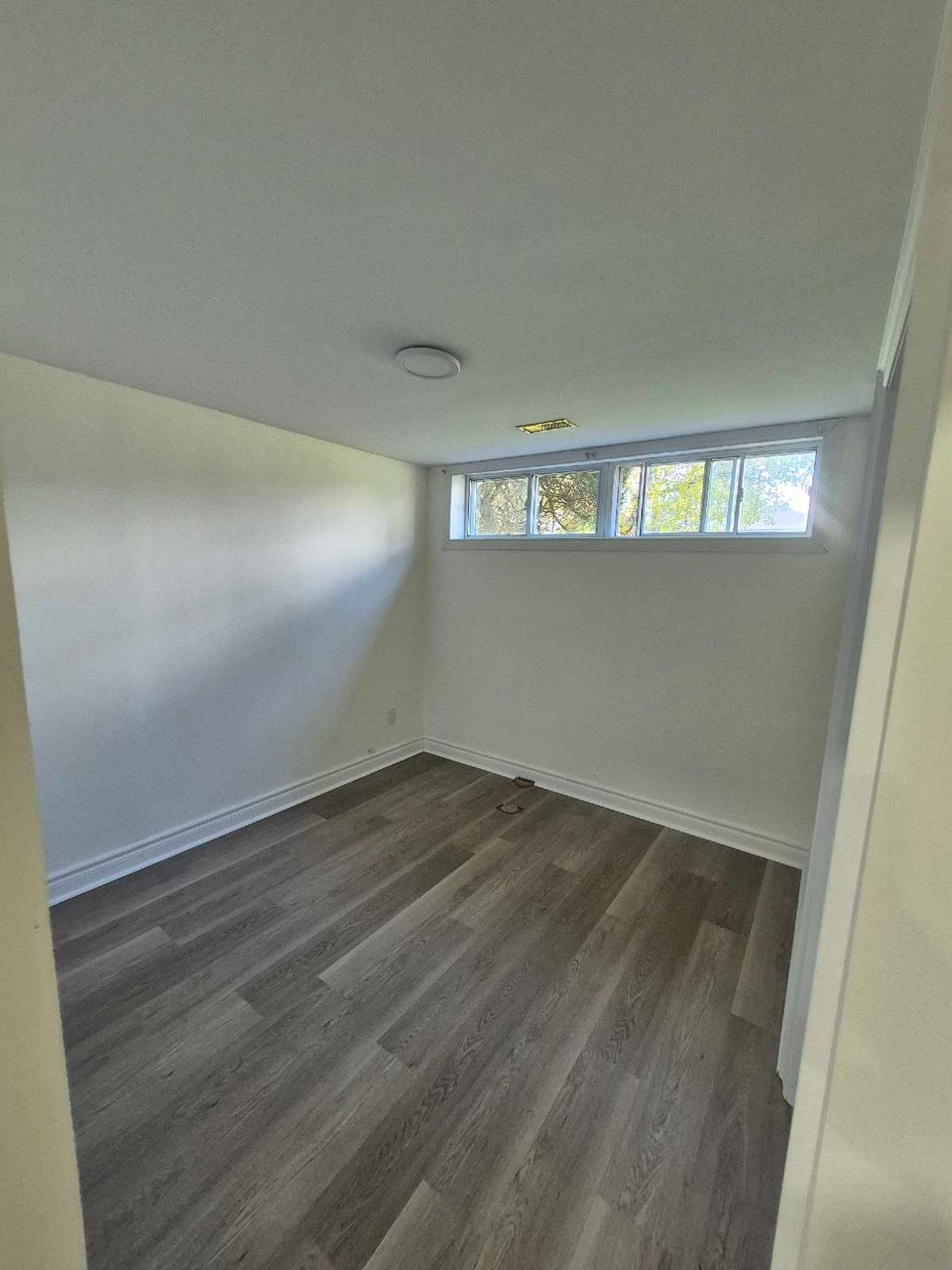 Basement para Renta 5
