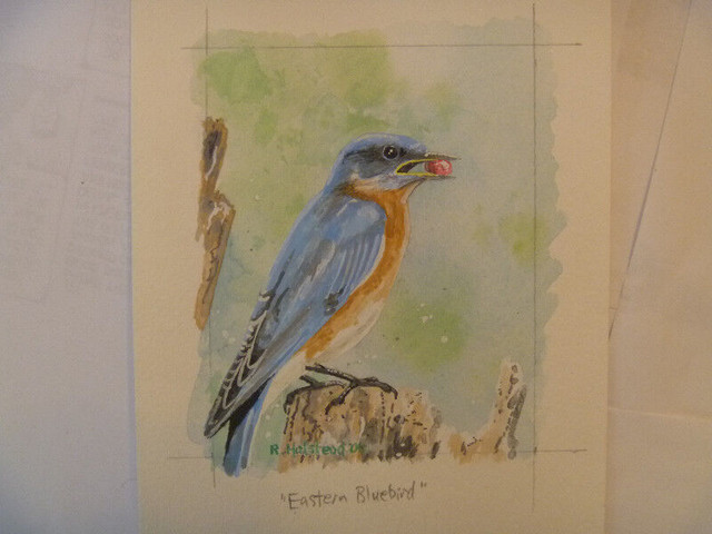 EASTERN BLUEBIRD Original Artwork - several to choose from in Arts & Collectibles in Winnipeg - Image 3