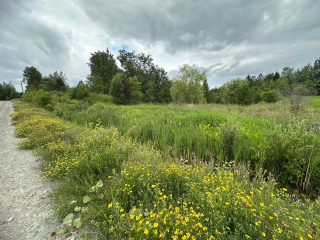 Superbe terrain à Stoke — photo 2