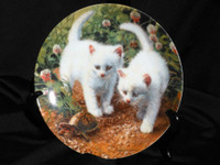 A Chance Meeting White American Short Hairs Collector Plate