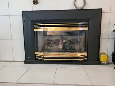Regency Fireplace Insert, View more