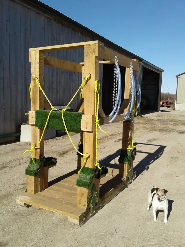 Horse shoeing  stocks in Horses & Ponies for Rehoming in Owen Sound - Image 11