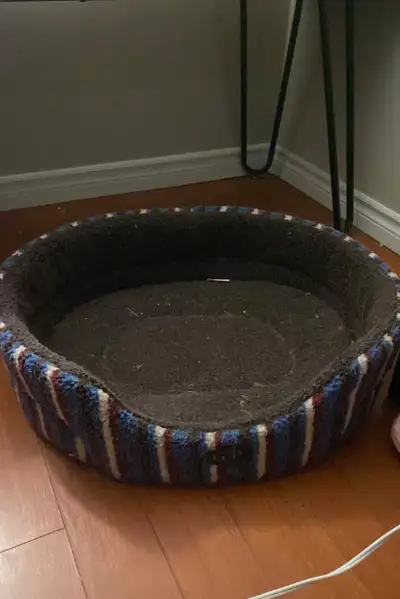animal bed, View more
