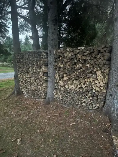 Dry seasoned Poplar firewood, View more