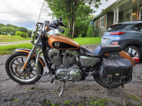 Harley Davidson Sporster 1200 custom low 