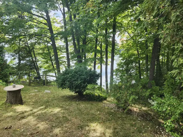 Lakefront Home For Rent 3bd/2bath on huge lot in Long Term Rentals in Cambridge - Image 11