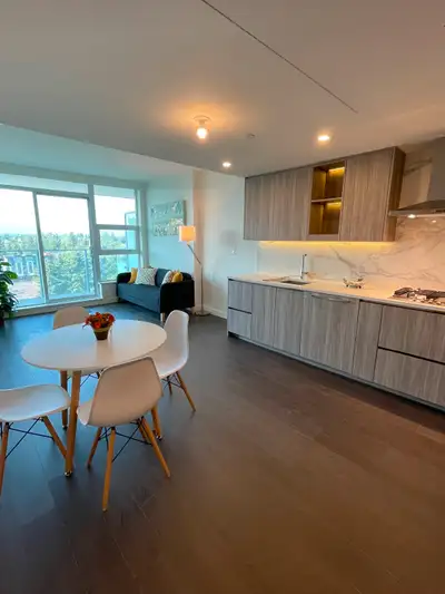 BRAND NEW FURNISHED 1 BED 1 BATH APARTMENT