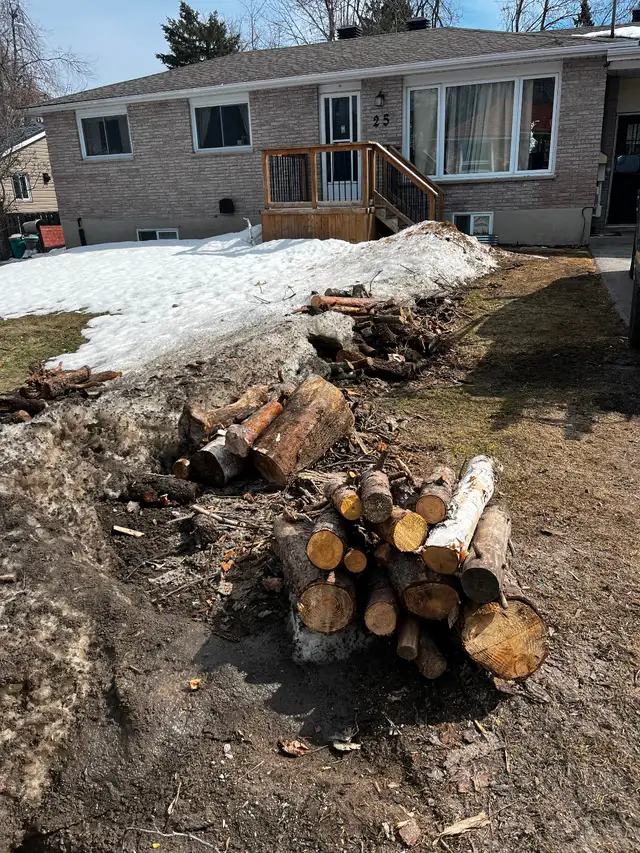 Fire wood in Free Stuff in Barrie - Image 3