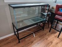90 Gallon Tank with heating pad & metal base stand