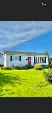 Bungalow Home, barn style shed & over 5 acres of land in NL