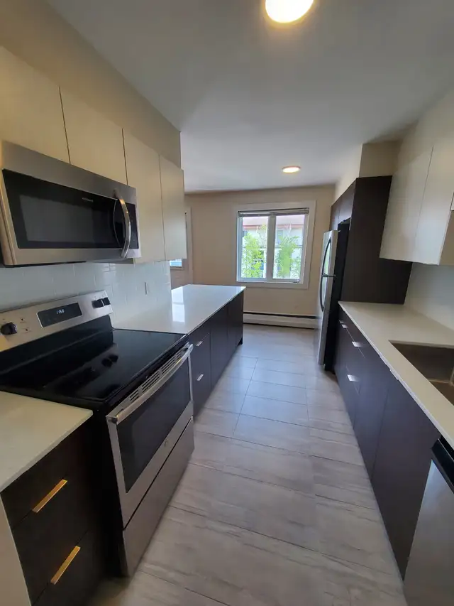 2 bdrm apt, Feb 1st or sooner, renovated, quiet south end buildi