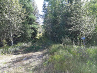 52 ACRES TREED LAND REDUCED 