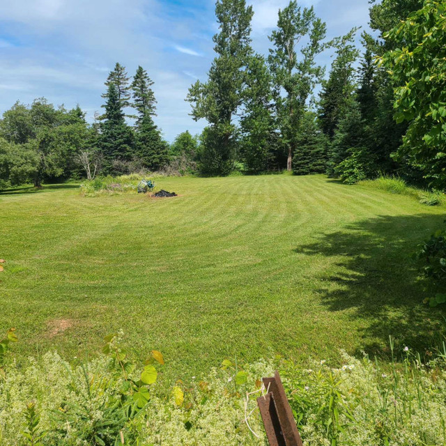 Lawn Care Services in Lawn, Tree Maintenance & Eavestrough in Summerside - Image 3