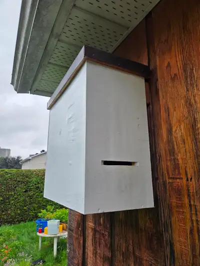 Honey Bee "Traps", View more