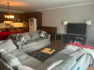 Grand 5 et demi (3 chambres et une salle de bain)