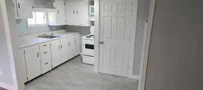 3 Bedroom 1 Bathroom Apartment