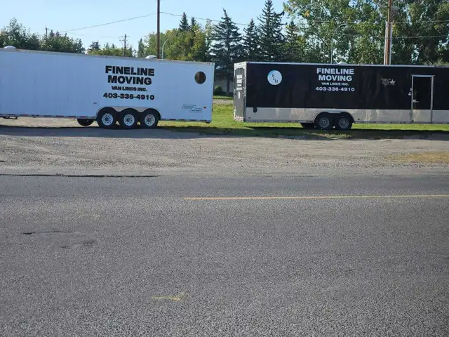 DO YOU NEED A MOVER456524696357457922