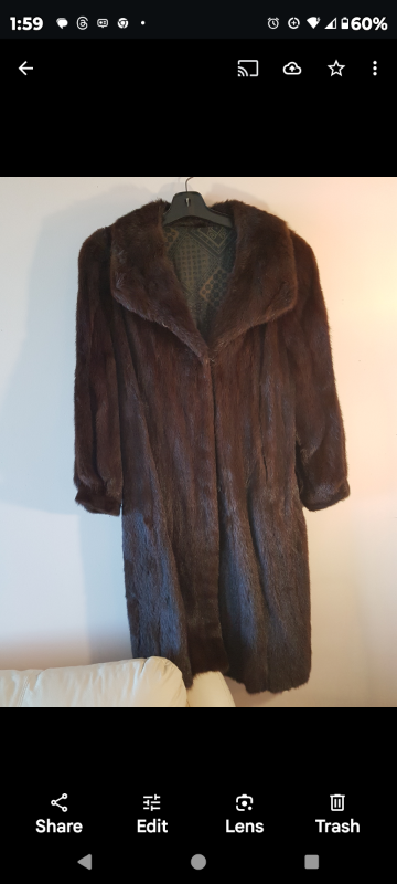 Fur Coat, View more