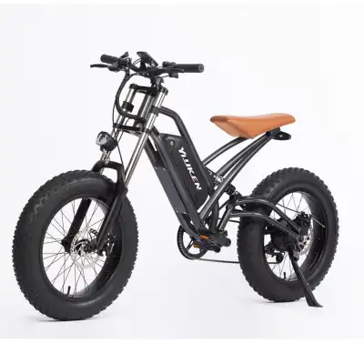 750W+ Big Power Electric Fat Bike, View more