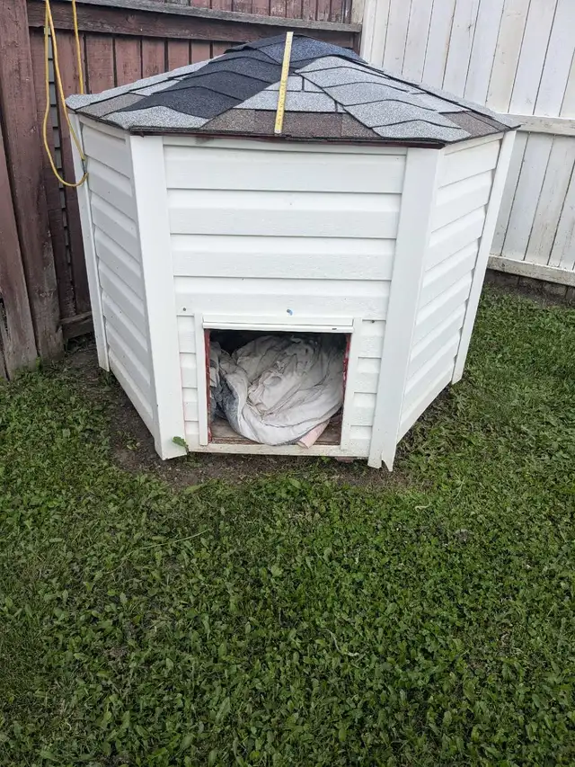 Dog House Large Custom Built (Used 10 years old) in Accessories in Saskatoon - Image 3