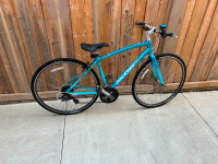 Blue Raleigh Aysa bicycle for sale.