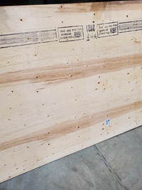 1/2" Plywood standard spruce
