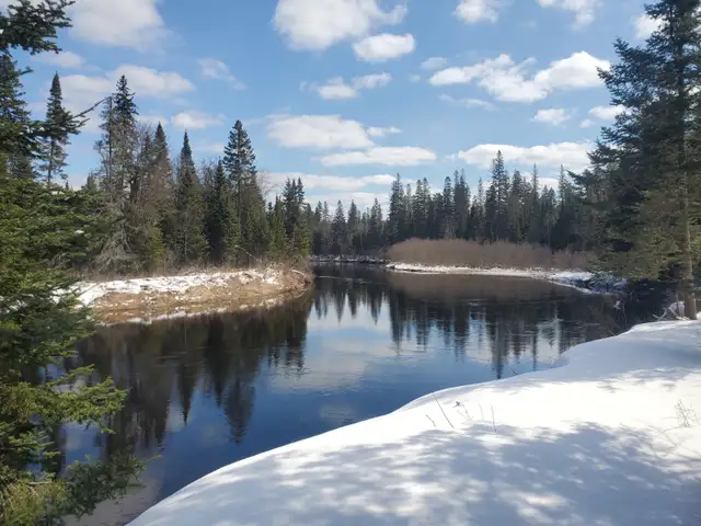 Solitude Glamping in the middle of Muskoka bush! in Ontario in Canada - Image 4