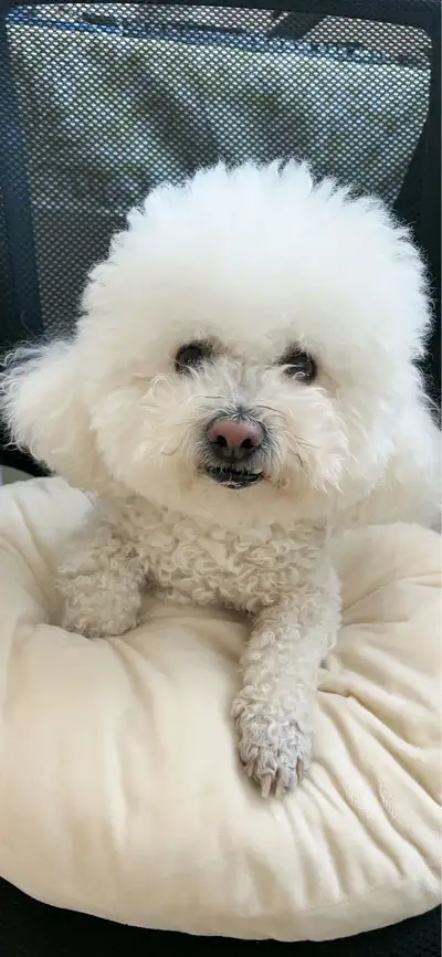 Online friendship, female looking for female friends, View more