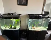 Aquarium jebo avec filtreur intégré 