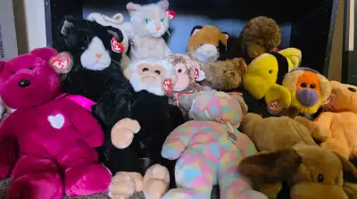 ❤️ TY Beanie Buddies ❤️, View more