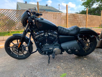 Harley Davidson Iron 883 20219