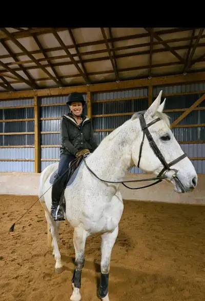 Horse farm in Niagara on the lake looking for a motivated stable hand Very competitive wage based on...