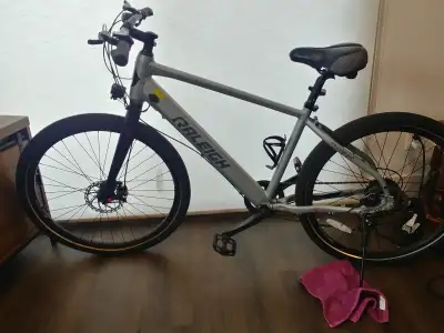 Raleigh E Bike, View more