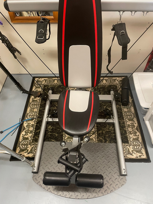 Bio Flex Gym in Exercise Equipment in Owen Sound - Image 3