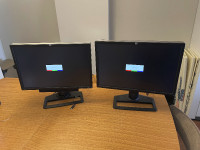 Two HP ZR24w 24-inch Monitors