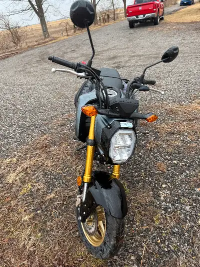 MSX125R 2024 Honda Grom Black and Gold 1100kms Cash only, No etransfer.