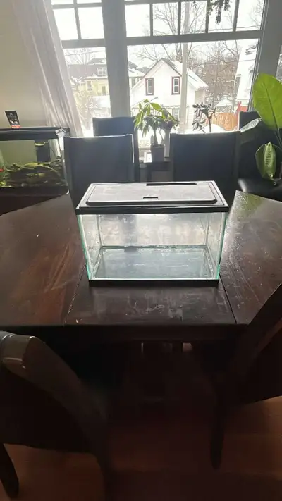 two 5 gallon tanks , View more