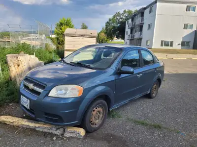 Small car. Big personality. Surprisingly difficult to kill. After 12 years and 110,000km of driving...