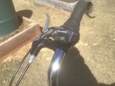 This 3 wheels bike is as good as new. Black. Bought it last year, used it only twice.