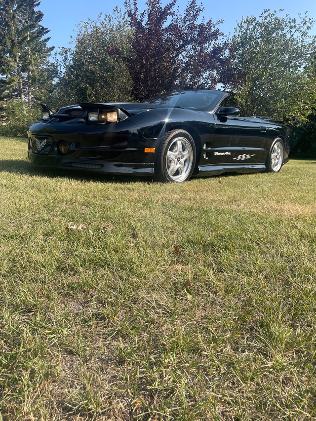 1999 Trans am  in Classic Cars in Calgary