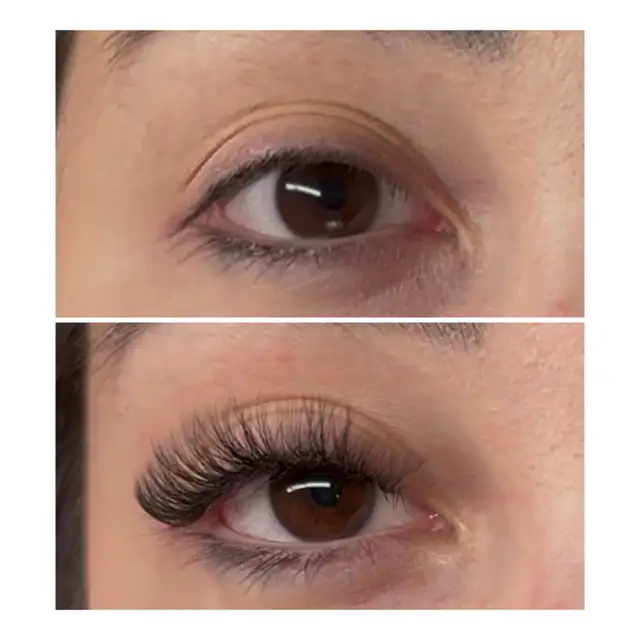 Lash models needed542524671525529601