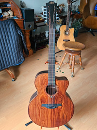 Lag Savage 12-string acoustic/electric