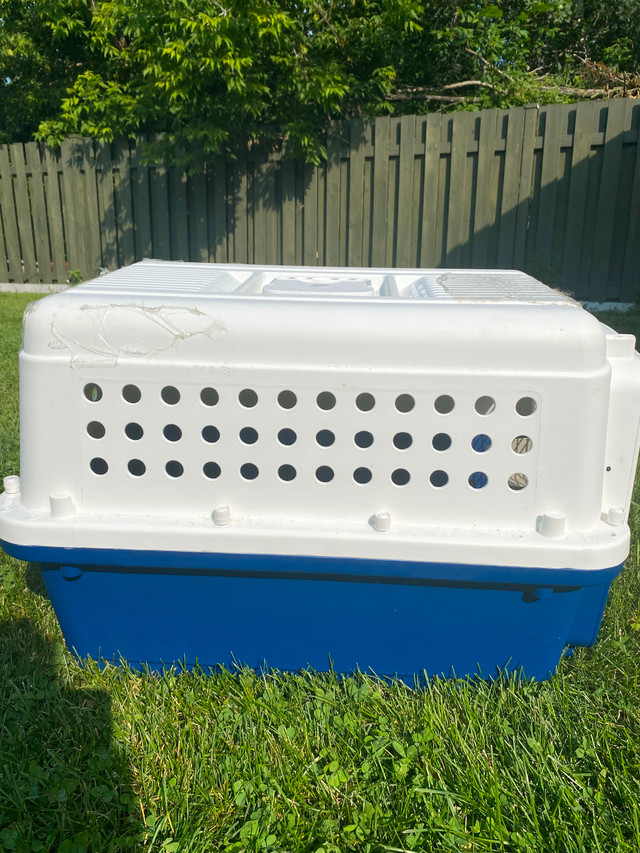 Cage pour chien dans Accessoires  à Longueuil/Rive Sud - Image 2
