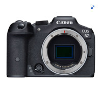 Canon EOS R7 32.5MP Mirrorless Camera