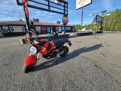 2023 Honda Grom 125, bought in September 2023 from a dealer. Hardly driven only has 31km on it. It r...