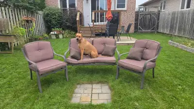 Outdoor Furniture Set (dog not included), View more